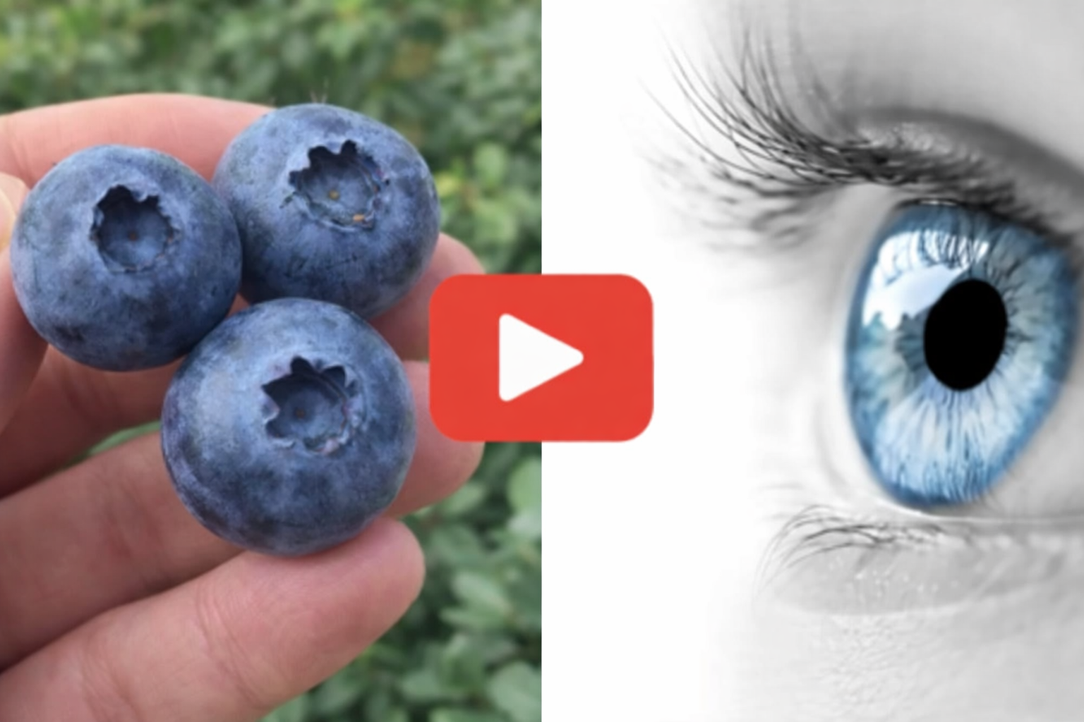 Dr. Ming Wang - Daily Vision-Support Routine for Adults Over 55